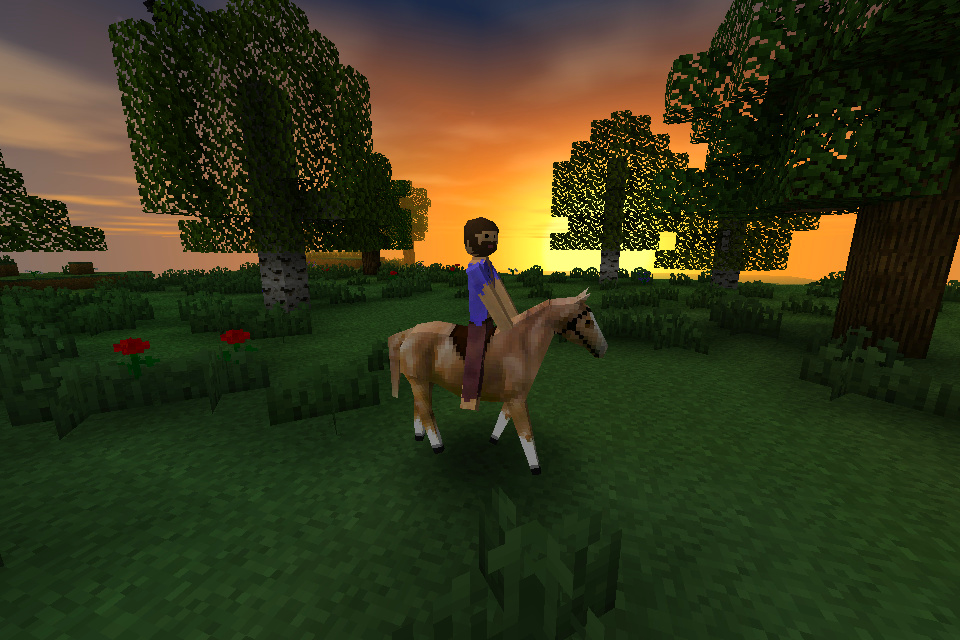 Survivalcraft iPhone